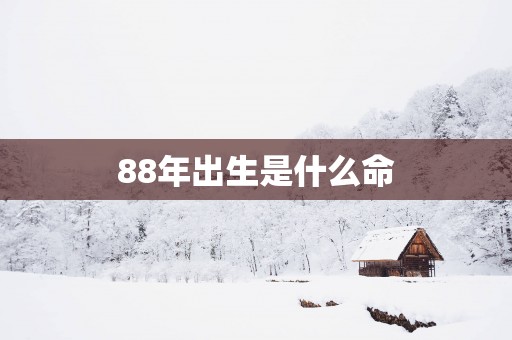 88年出生是什么命