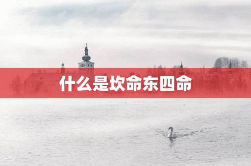 什么是坎命东四命