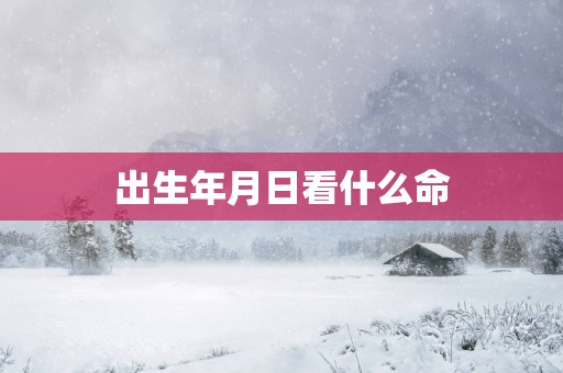 出生年月日看什么命