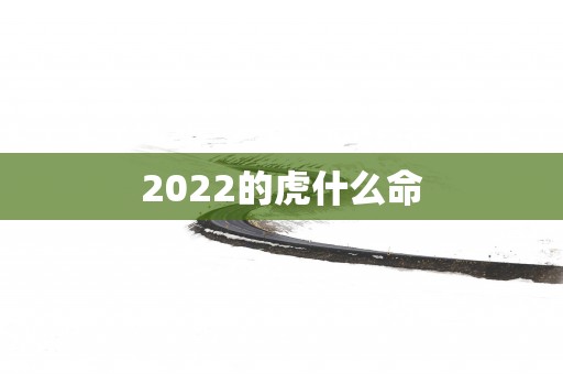 2025的虎什么命