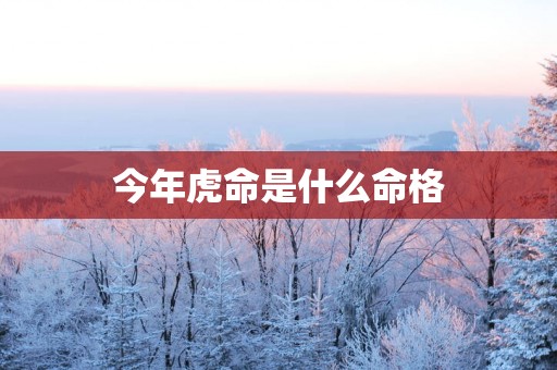 今年虎命是什么命格