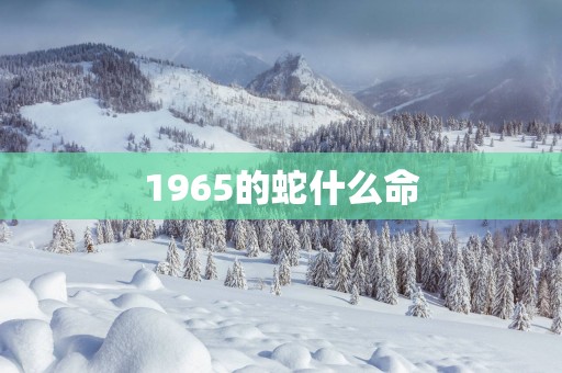 1965的蛇什么命