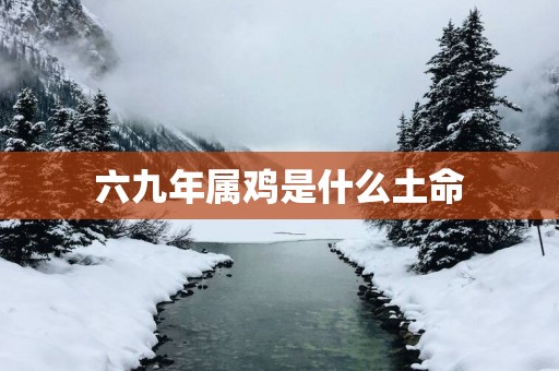 六九年属鸡是什么土命