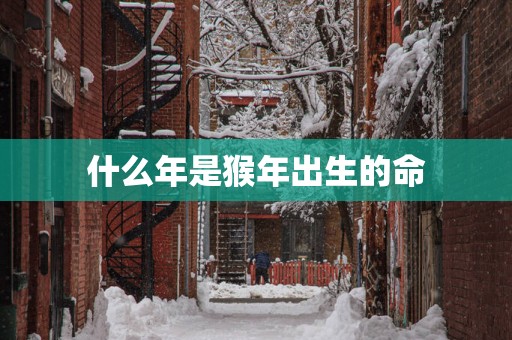什么年是猴年出生的命
