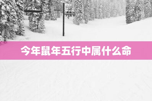 今年蛇年五行中属什么命