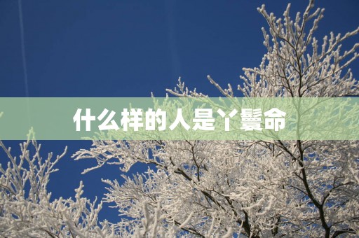 什么样的人是丫鬟命