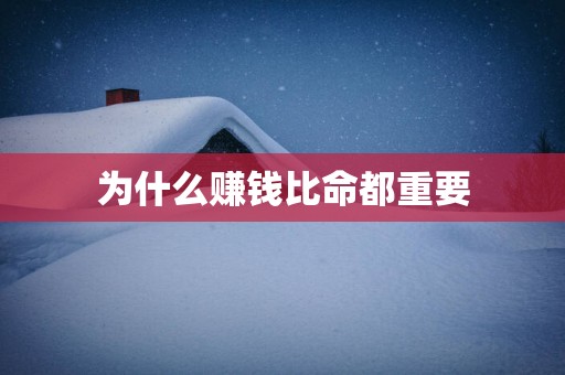 为什么赚钱比命都重要