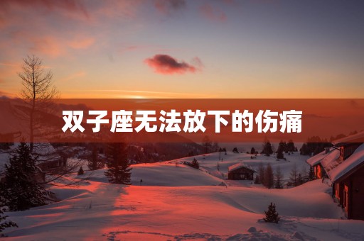 双子座无法放下的伤痛