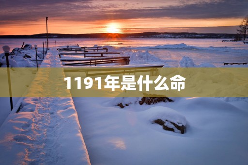 1191年是什么命