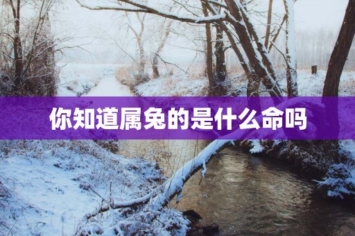你知道属兔的是什么命吗