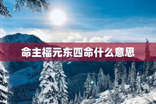 命主福元东四命什么意思