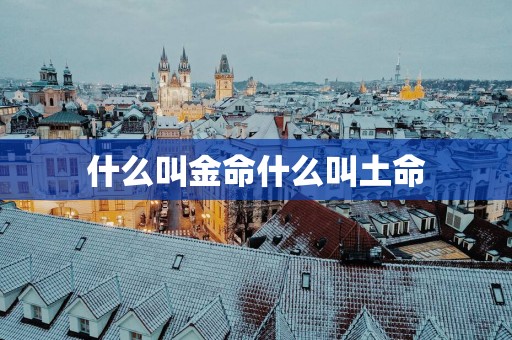 什么叫金命什么叫土命