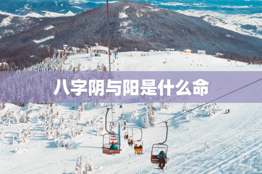八字阴与阳是什么命