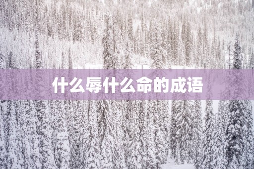 什么辱什么命的成语