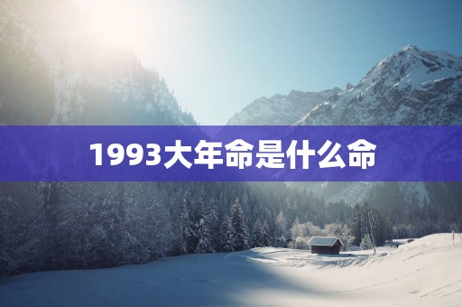 1993大年命是什么命