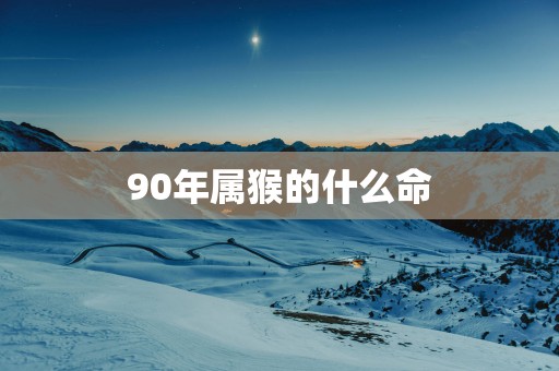 90年属猴的什么命