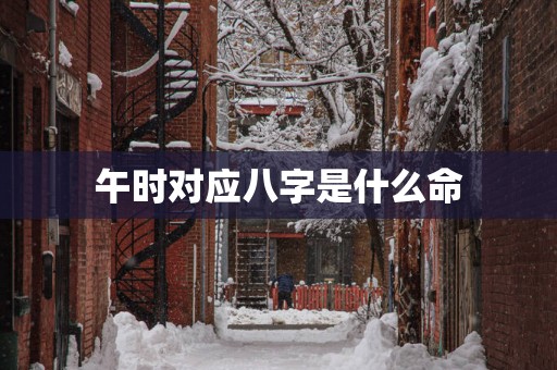 午时对应八字是什么命