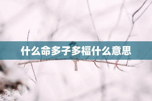 什么命多子多福什么意思