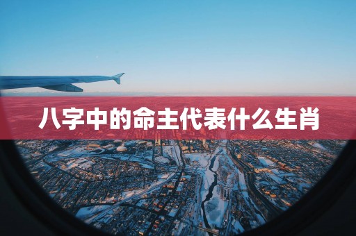 八字中的命主代表什么生肖
