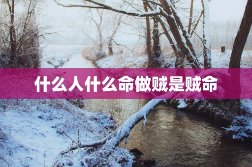 什么人什么命做贼是贼命