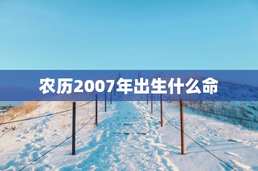 农历2007年出生什么命