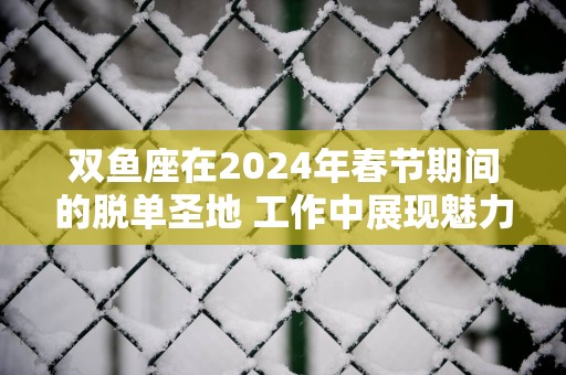 双鱼座在2025年春节期间的脱单圣地 工作中展现魅力