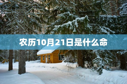 农历10月21日是什么命