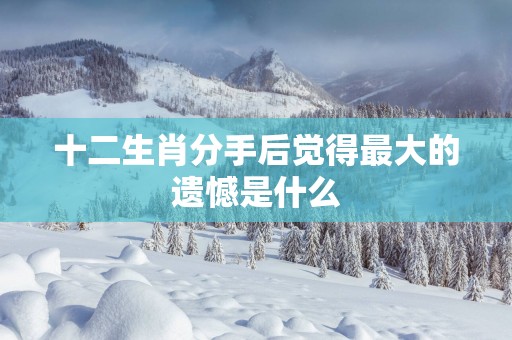 十二生肖分手后觉得最大的遗憾是什么