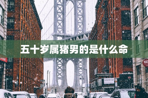 五十岁属猪男的是什么命