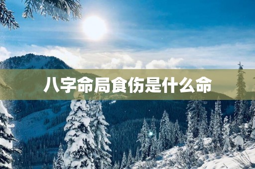 八字命局食伤是什么命