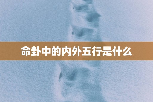命卦中的内外五行是什么