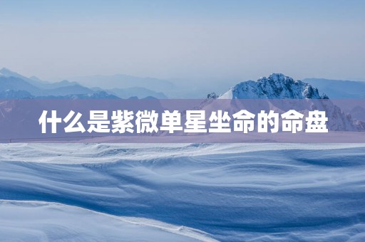 什么是紫微单星坐命的命盘