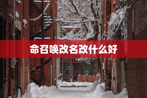 命召唤改名改什么好