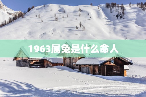 1963属兔是什么命人