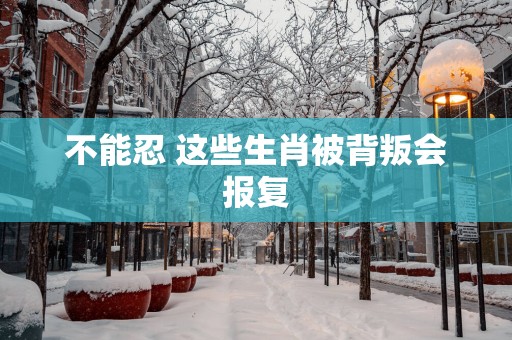 不能忍 这些生肖被背叛会报复