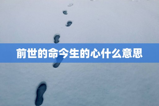 前世的命今生的心什么意思