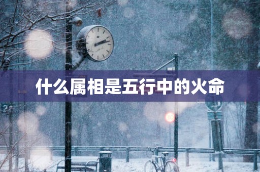 什么属相是五行中的火命