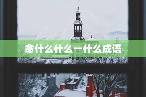 命什么什么一什么成语