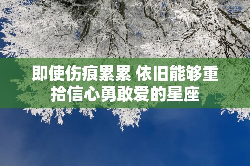 即使伤痕累累 依旧能够重拾信心勇敢爱的星座