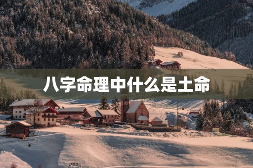 八字命理中什么是土命