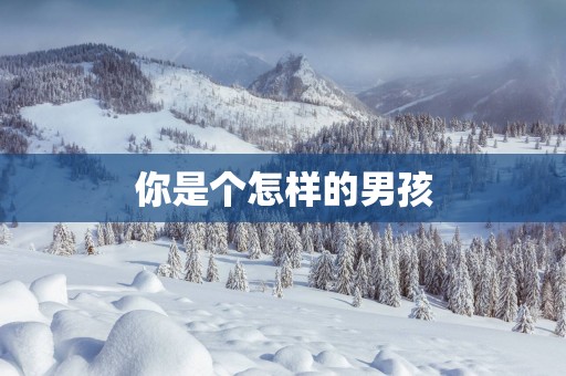 你是个怎样的男孩