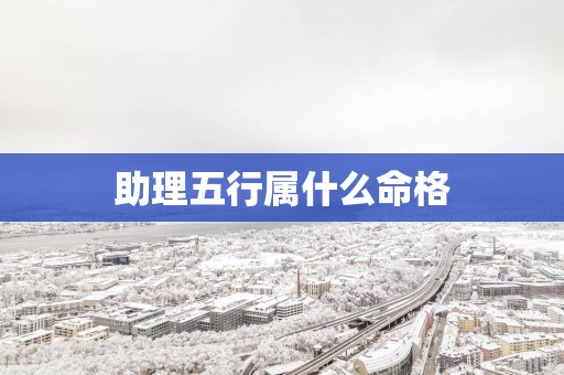 助理五行属什么命格