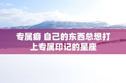 专属癖 自己的东西总想打上专属印记的星座