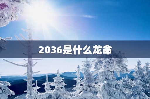 2036是什么龙命