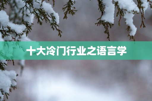 十大冷门行业之语言学