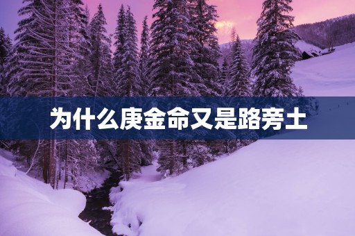 为什么庚金命又是路旁土