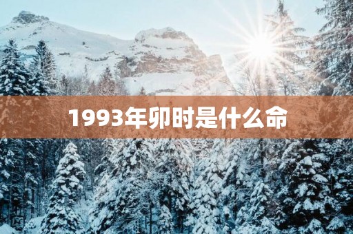 1993年卯时是什么命