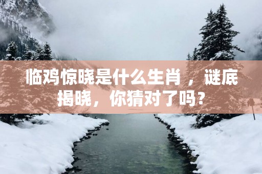 临鸡惊晓是什么生肖 ，谜底揭晓，你猜对了吗？