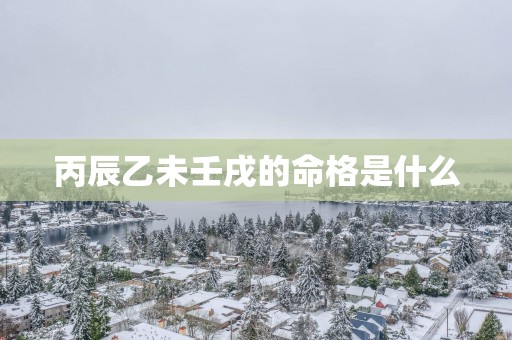 丙辰乙未壬戌的命格是什么