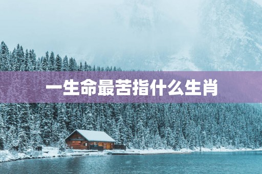 一生命最苦指什么生肖
